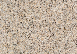 黃金麻圓球出現(xiàn)病變應(yīng)該怎樣處理(圖1)