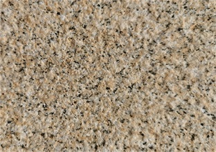 山東黃金麻秒殺其他地區(qū)黃金麻的四大優(yōu)勢(shì) (圖1)