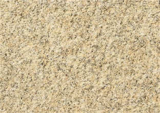 粗燥面黃金麻如何養(yǎng)護(hù)  (圖1)