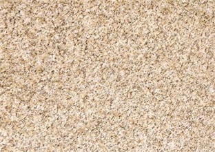 黃金麻的顏色是怎樣形成的  (圖1)